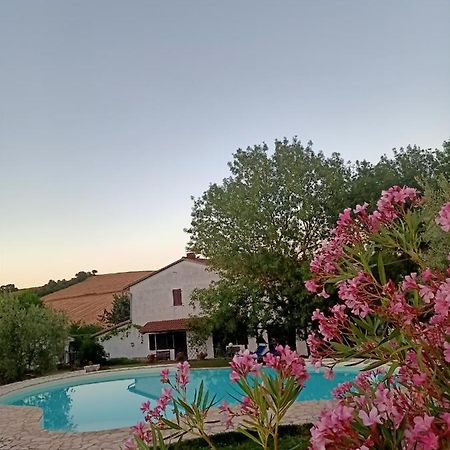 Agriturismo La Locandiera Montemerano Exteriör bild