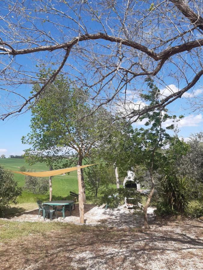 Agriturismo La Locandiera Montemerano Exteriör bild