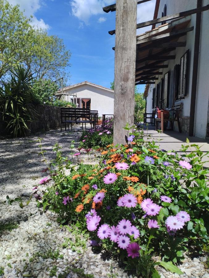 Agriturismo La Locandiera Montemerano Exteriör bild